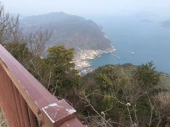 t-t-t-t̐_Rւ̓eʐ^4