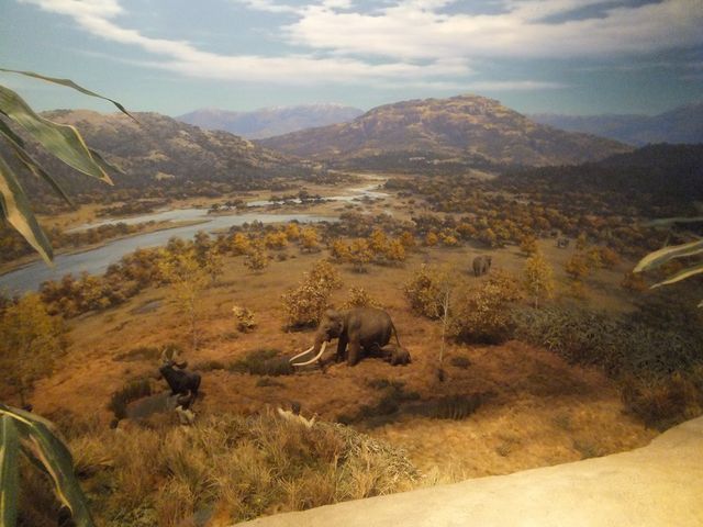 ���Ί펞��̍���B���g���Ő��˓��C�����n�����������ł��B_���쌧���~���[�W�A��