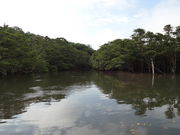 ���Ⴑ����̒��Ԑ�V�R�ی���̓��e�ʐ^1