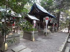 ܂̔nH粐_Ђւ̓eʐ^1