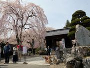 ������񂳂�̌��O����������̓��e�ʐ^1