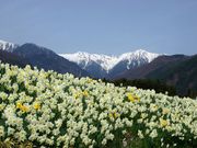 ������񂳂�̌��O����������̓��e�ʐ^6