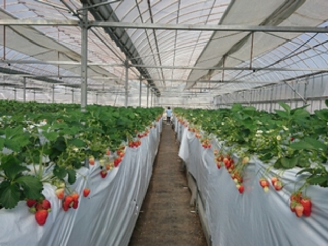 �����܂Ȃ��Ă����������Ƃ��̂Ŋy�ł����B_�݂悵�ς��ς��t�@�[��