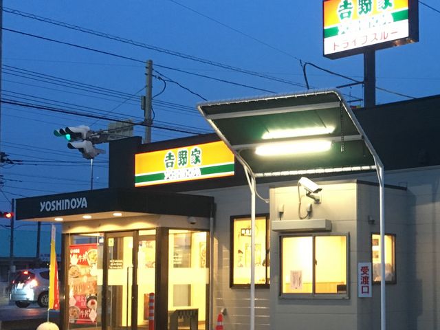 hCuX[A_̊pEX܁BiR/Tj_g140ԉC^[X