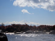 ͂̍b򉷐@pm}̓̓eʐ^1