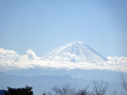 ͂̍b򉷐@pm}̓̓eʐ^2