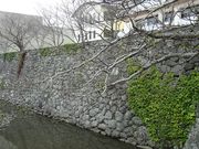 񂳂̕]iΓcjՂ̓eʐ^2