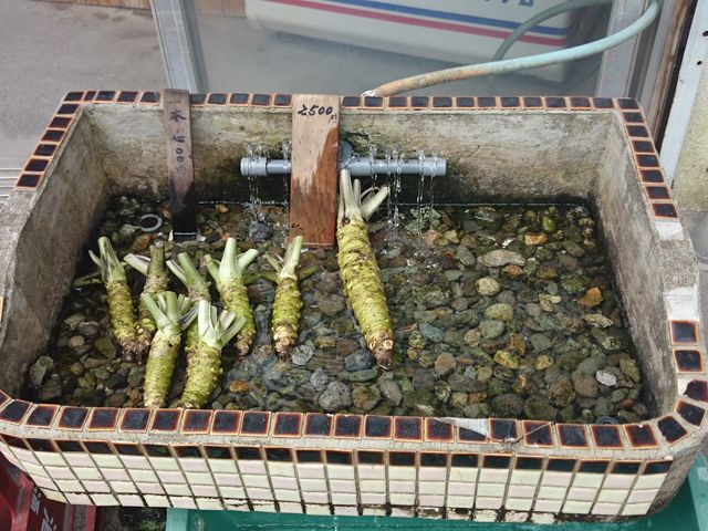 ꂨ񂳂̂킳щǂ̓eʐ^2