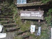 ꂨ񂳂̂Ђ炵̓eʐ^1