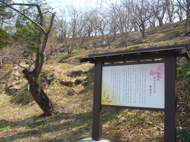 ���ߌ���_�V�������i���ߎR�j