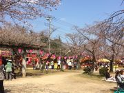 SAYA����̒��������̍��i�V���R�̘[�j�̓��e�ʐ^1