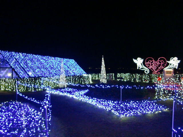 뉀_lÉ̈䃊][gXp C~iXI[V