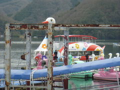 トシローさんの相模湖一周遊覧船(勝瀬観光）の投稿写真1