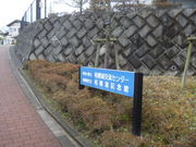 gV[̑͌΋LOق̓eʐ^1