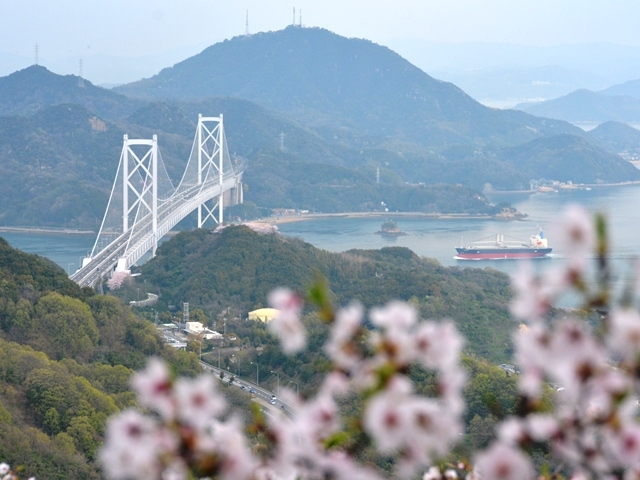 因島・白滝山山頂から(平成29年4月9日撮影)_因島大橋