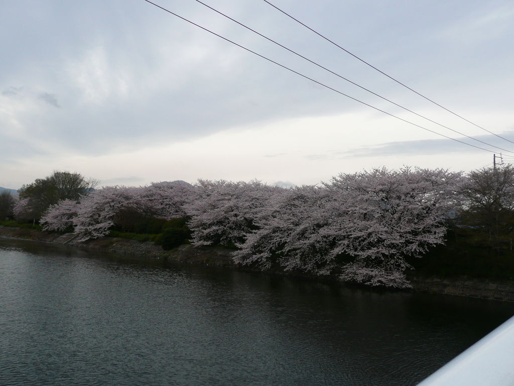 松阪市の公園 庭園ランキングtop5 じゃらんnet