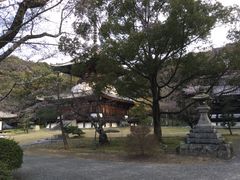 �}�C�a�n�n����̍��Ҏ��哃�ւ̓��e�ʐ^1