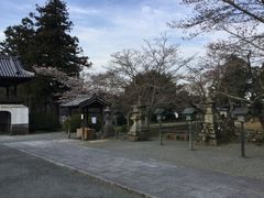 �}�C�a�n�n����̍��Ҏ��뉀�ւ̓��e�ʐ^1