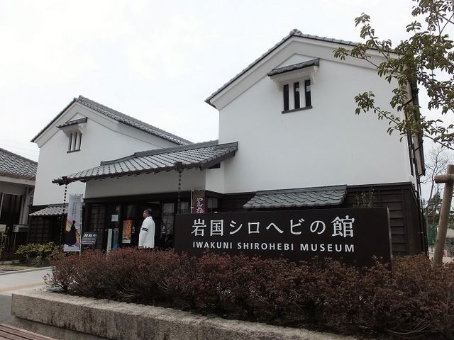 �����O��_���Ái�V�_�j���֎�����