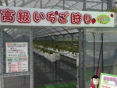 N[gstrawberry farm ܂ƍH[ւ̓eʐ^1