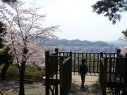 �g�V���[����̐����R�����̓��e�ʐ^1