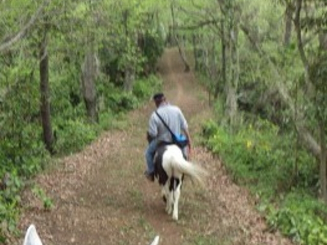 �R����n�ł������Ă����܂��`_�z�[�X�L�����v�@������