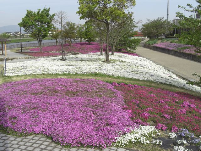 三ツ又池公園】アクセス・営業時間・料金情報 - じゃらんnet