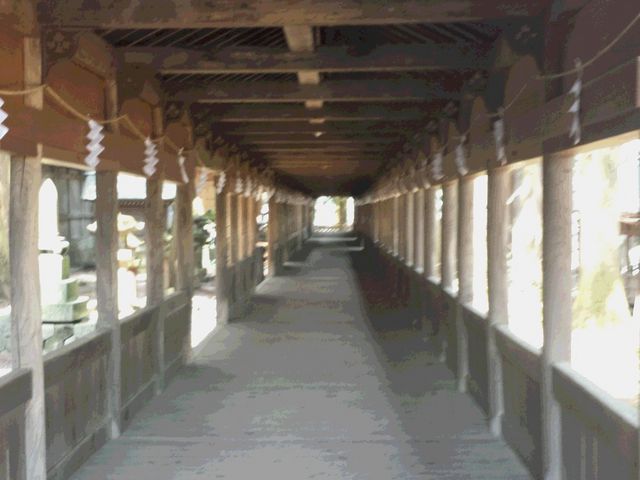 �u�z���v
������y���ŕ����̂͋��k���܂�_�z�K��Џ�ЁE����