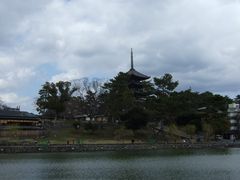 ����r�̎ʐ^1