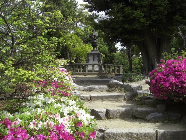 ߂ڂڂ̐F̃ccW̓eʐ^1