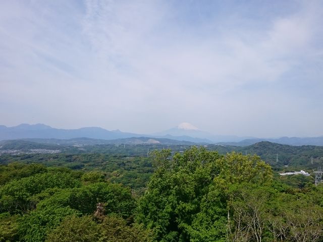 ̏Ó약W]isuj̓eʐ^1