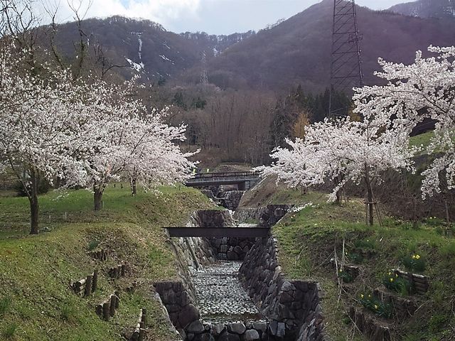 ��_���̉w ��˔��R