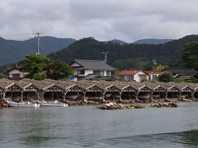 �s���D����_�B��̓�������