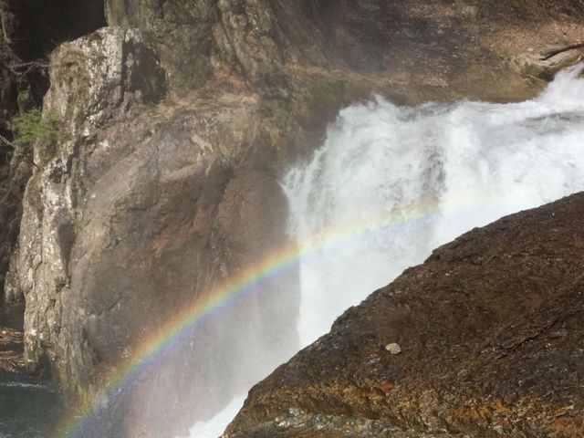 �����̑�_�����̑�