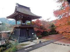 w-masa����̋ʗ����ւ̓��e�ʐ^1