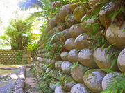 Ȃ̑嗢̋ʐΊ_̓eʐ^1