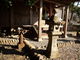 水・土綺麗に史実を学ぶさんの小茂田浜神社の投稿写真1