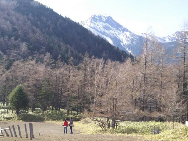 ����̕��i_�T�����h�E�Y�@���E�����X�L�[��