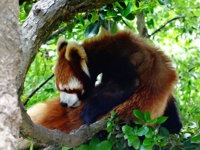 ���R������_���R������