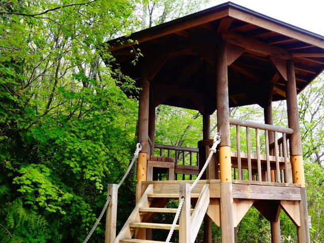 �R���̓W�]��_�t�R�i�ዷ�x�m�j