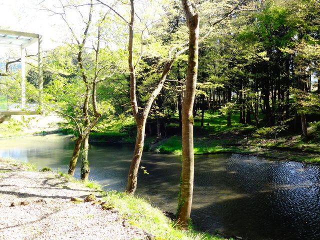 �A�����Ȗ`���َ���_�A�����Ȗ`���َ���