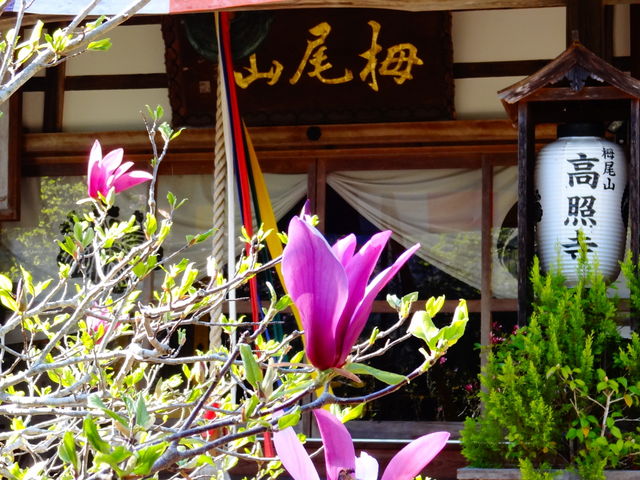 ���N����_���Ǝ�