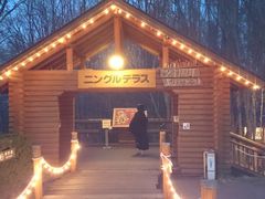 ACX}̃VbsO[hujOeXvւ̓eʐ^1