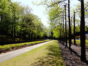 ǁ[̐AȖ`َӂ̓eʐ^2