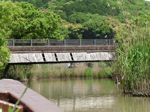 \@--@㌀̃V-
@@̗p_̂Ɓ@܂