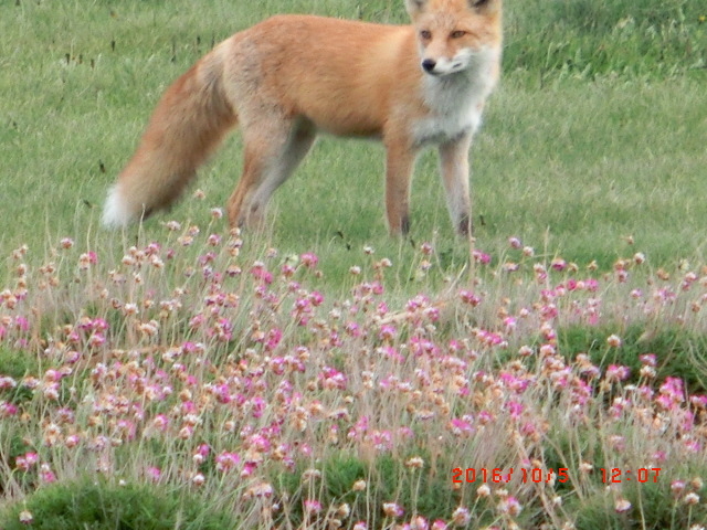 ���b�L�[_�@�J������