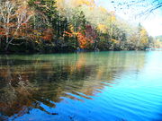 ƂƂ񂳂̃Ilg[̓eʐ^1