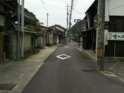 �h���S��48����̓���t�̓��e�ʐ^1