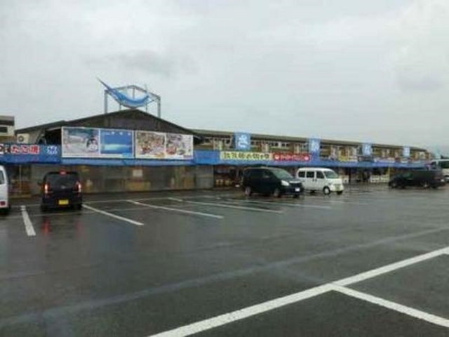 ���{�C�����ȊX