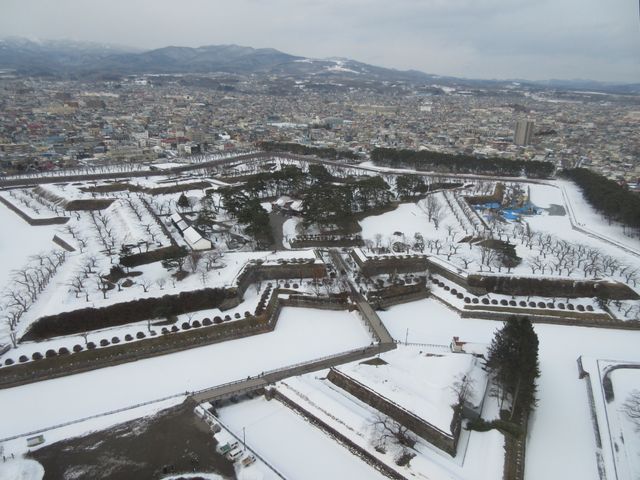 �^���[���_�ܗŊs����